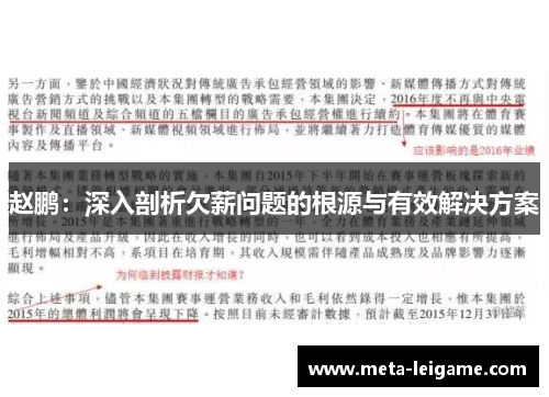 赵鹏：深入剖析欠薪问题的根源与有效解决方案