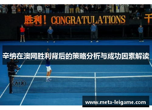 辛纳在澳网胜利背后的策略分析与成功因素解读