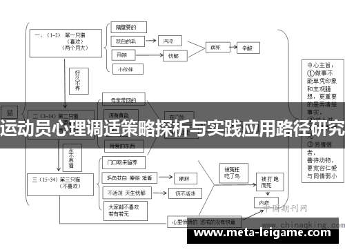 运动员心理调适策略探析与实践应用路径研究 运动员心理调适策略探析与实践应用路径研究