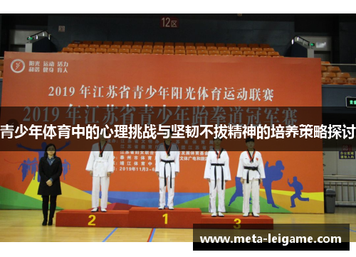 青少年体育中的心理挑战与坚韧不拔精神的培养策略探讨 青少年体育中的心理挑战与坚韧不拔精神的培养策略探讨